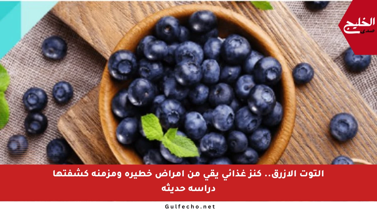 التوت الأزرق.. كنز غذائي يقي من أمراض خطيرة ومزمنة كشفتها دراسة حديثة